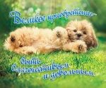 Открытка маленькая "Великое приобретение быть благочестивым и довольным"