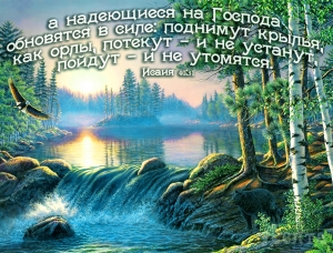  Фотомагнит: "Надеющиеся на Господа обновятся в силе...". Исайя 40:31 ― Knigavam