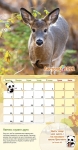  Календар дитячий на 2022 рік "Вчимося дружити"  