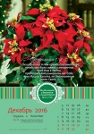 Календарь 2016 "Цветы". Малый формат