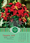 Календар 2016 "Квіти" Малий формат