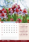 Календарь 2019 "Слова Надежды" Большой формат