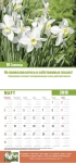 Календарь 2019 "Заповеди душевного равновесия" Большой формат