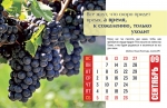 Календарь 2020 настольный "Достигая максимума" РУС
