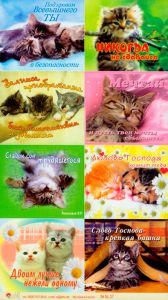 Наклейка листовая. "Котята". Под кровом Всевышнего ты в безопасности - интернет-магазин КНИГАВАМ: цены, отзывы | купить в Киеве, доставка по всей Украине, США, Канада, Европа, СНГ, Израиль