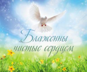 Открытка маленькая "Блаженны чистые сердцем".