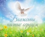 Открытка маленькая "Блаженны чистые сердцем".