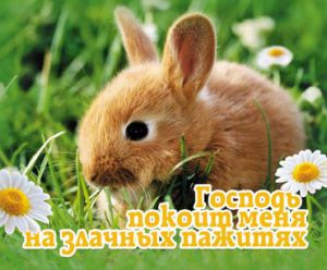 Открытка маленькая "Господь покоит меня на злачных пажитях".