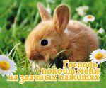 Открытка маленькая "Господь покоит меня на злачных пажитях".