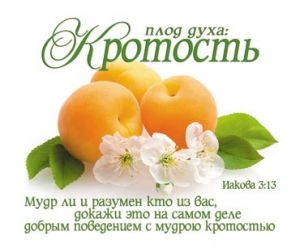 Открытка маленькая "Плод духа: Кротость". Иакова 3:13